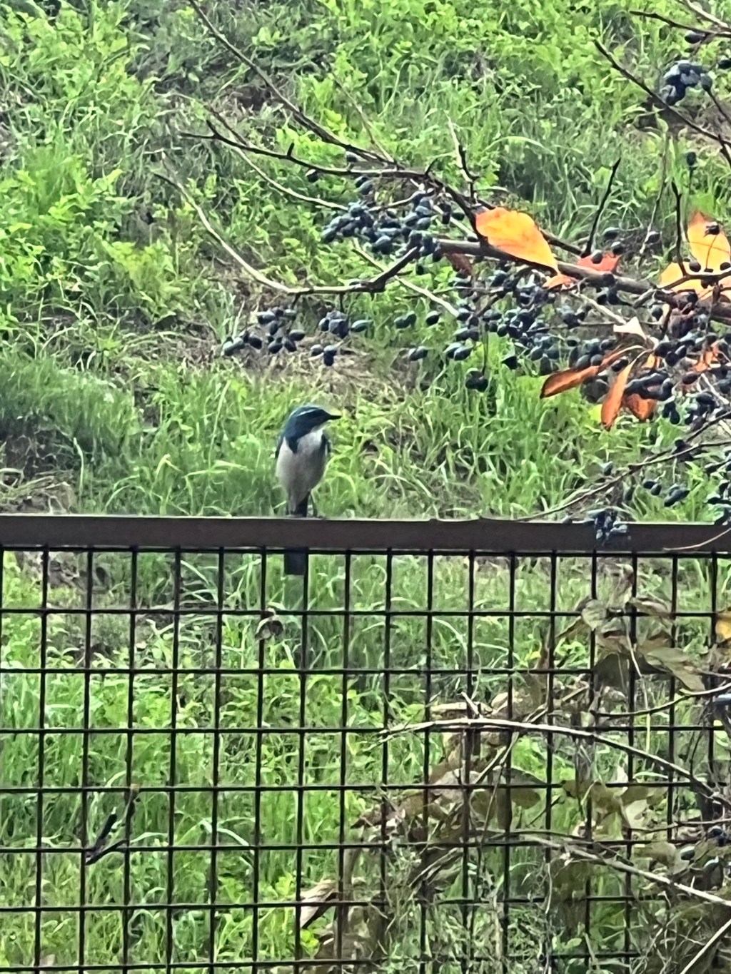 Blog to provide real life RV&nbsp;tips